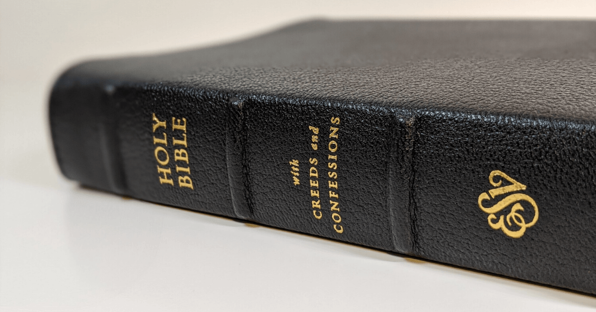 {Book Review} ESV Bible With Creeds And Confessions - Maturing Life In ...