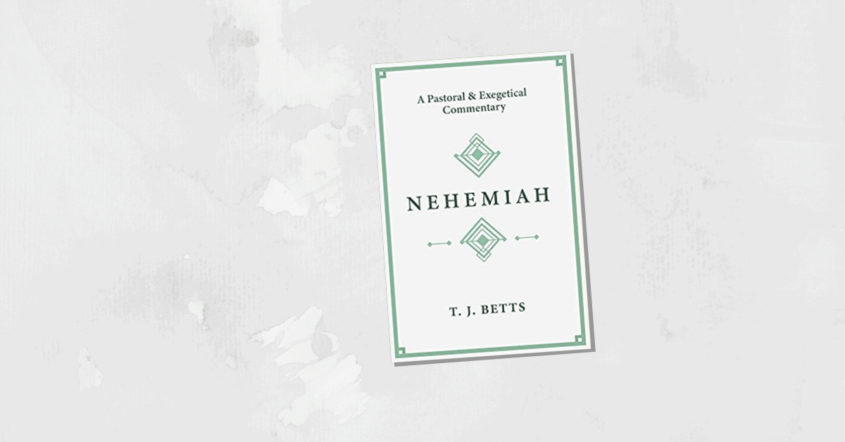 the book of nehemiah commentary